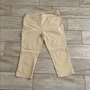 Lulu-B Woman’s Khaki Dress Pants